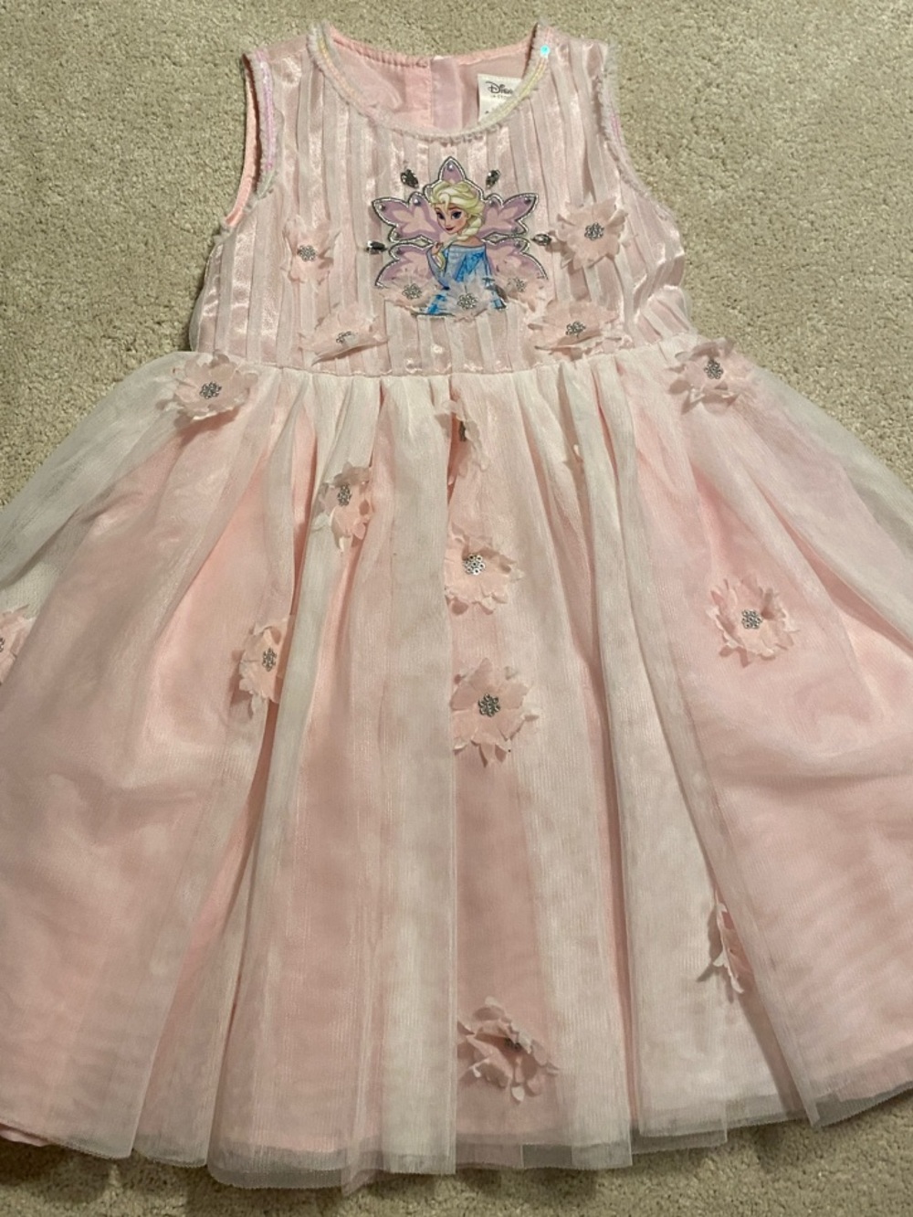 Disney Frozen Elsa Dress - Pink Tulle with Flower Appliqué, Size 5/6